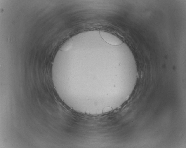 X0000067400820200604281905