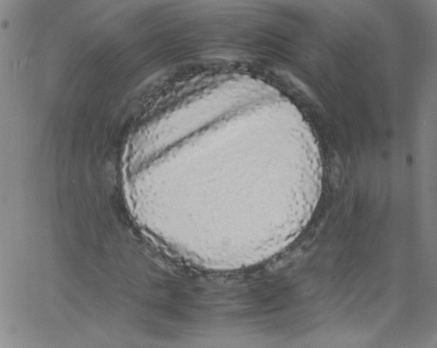 X0000067400821200604281905