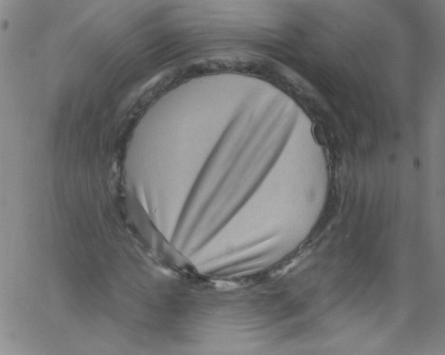 X0000067400822200604281905