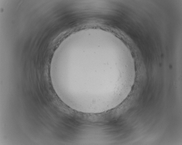 X0000067400824200604281905