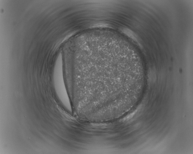 X0000067400825200604281905