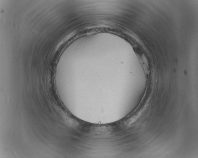 X0000067400826200604281905