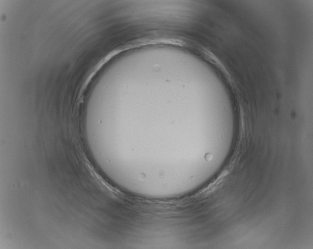 X0000067400828200604281905