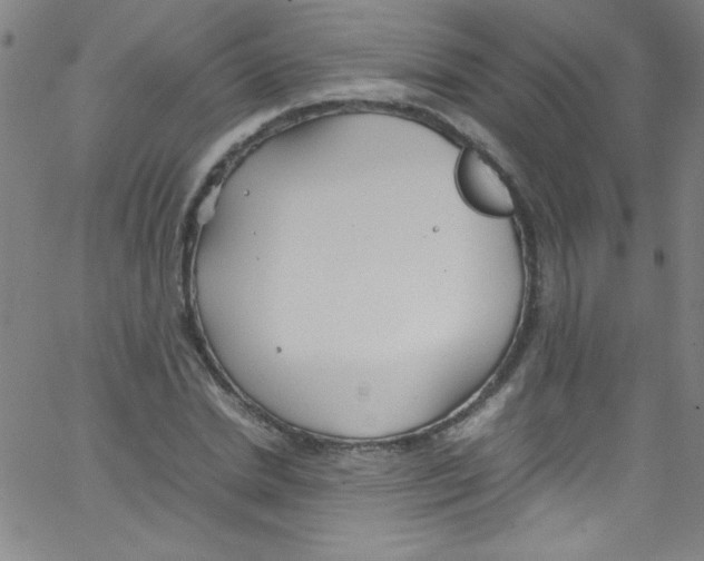 X0000067400830200604281905