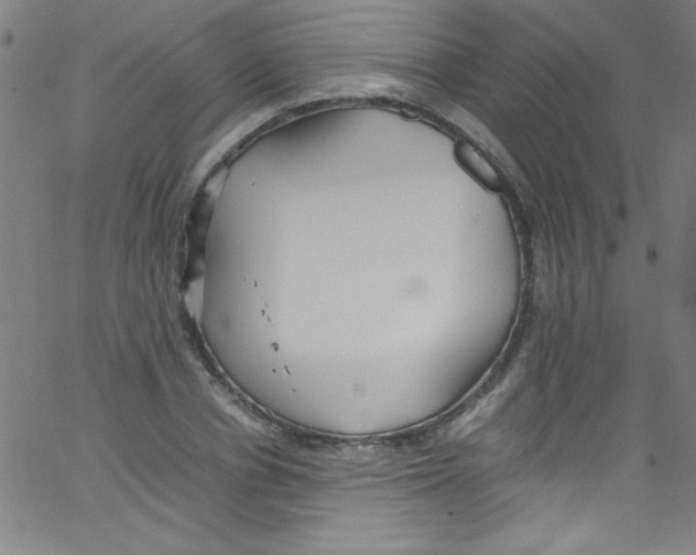 X0000067400834200604281905