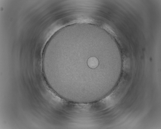 X0000067400836200604281905