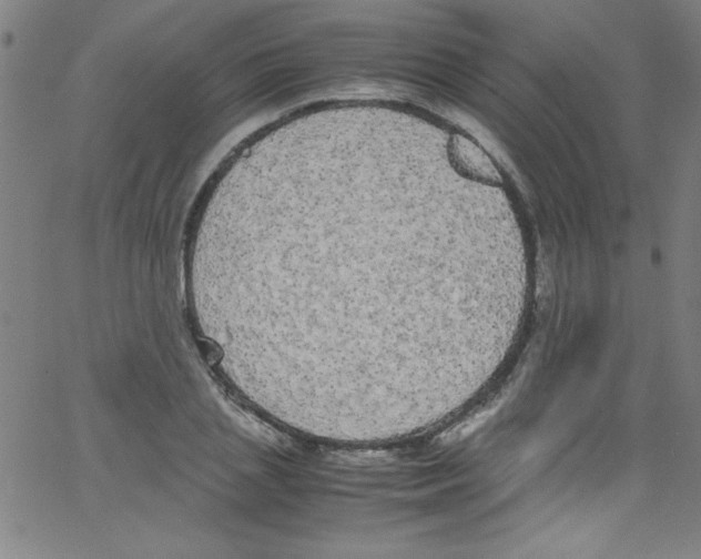 X0000067400837200604281905