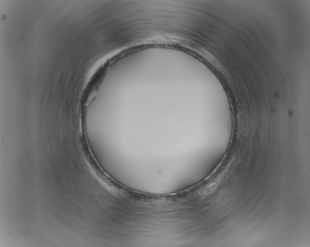 X0000067400838200604281905