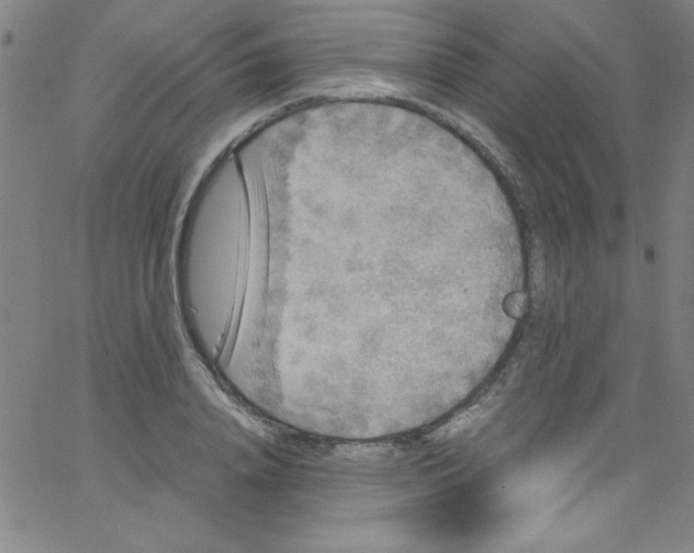 X0000067400840200604281906