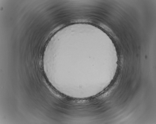 X0000067400841200604281906