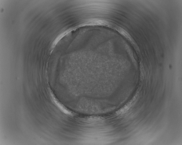 X0000067400842200604281906