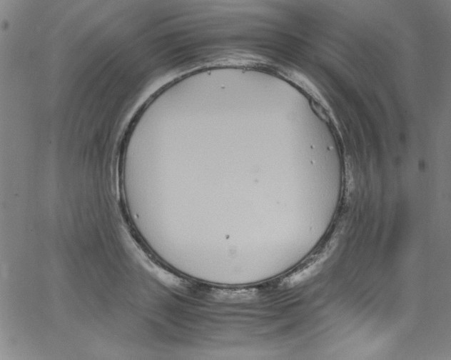 X0000067400843200604281906