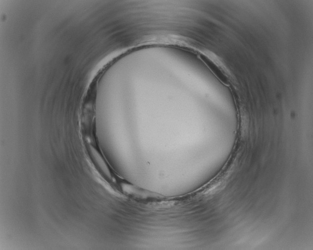 X0000067400846200604281906