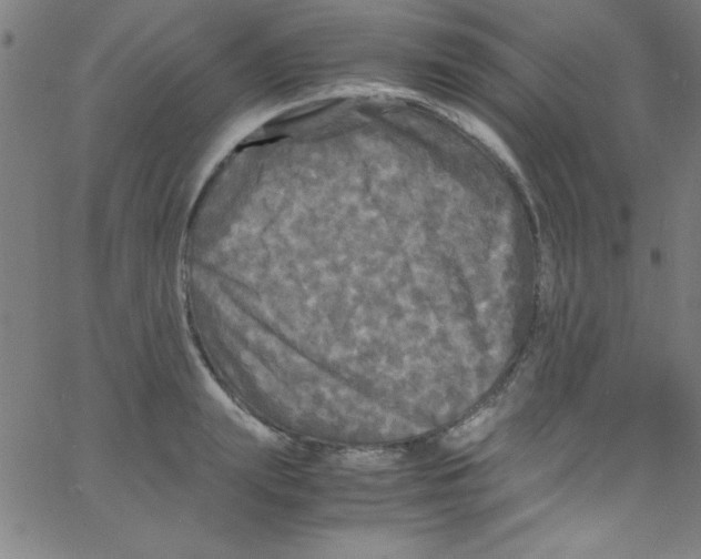 X0000067400847200604281906