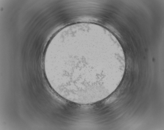 X0000067400848200604281906