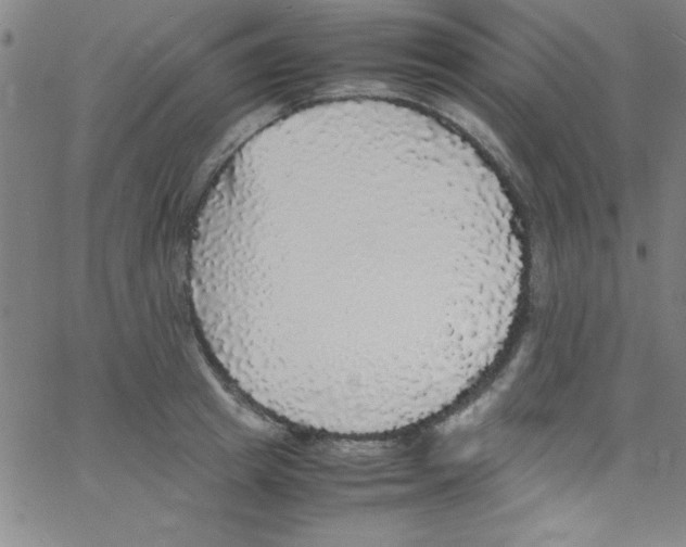 X0000067400849200604281906