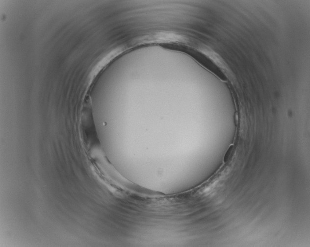 X0000067400850200604281906