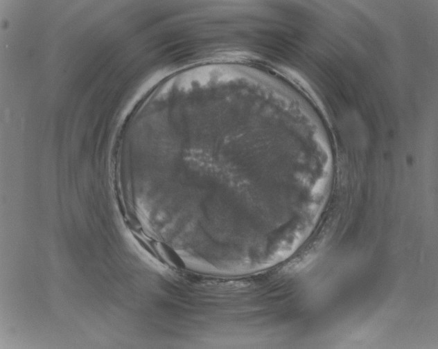 X0000067400851200604281906