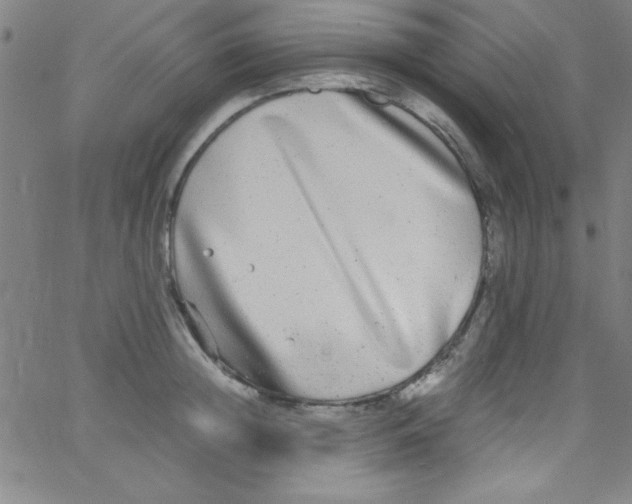 X0000067400852200604281906