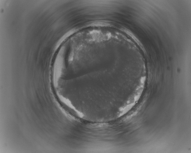 X0000067400853200604281906