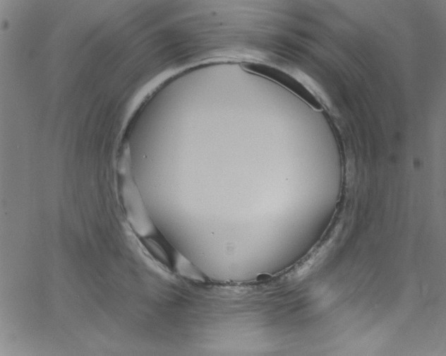 X0000067400854200604281906