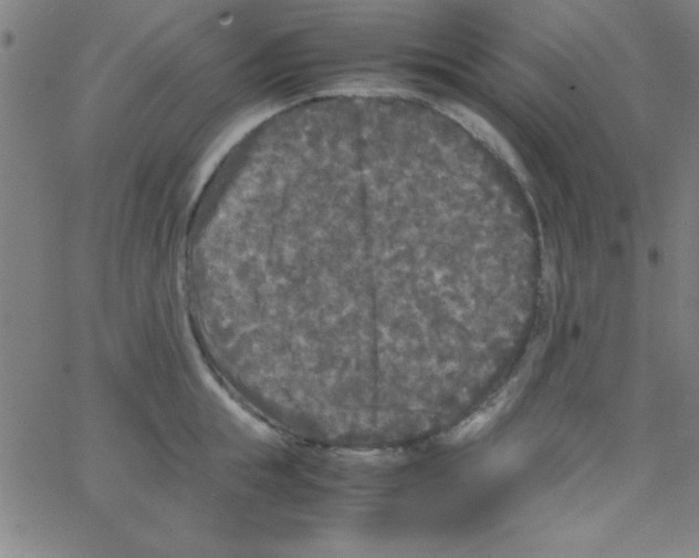 X0000067400855200604281906