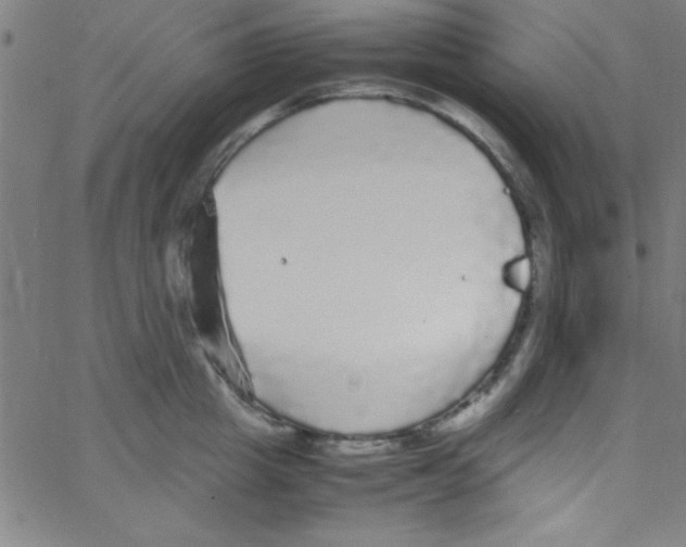 X0000067400857200604281906