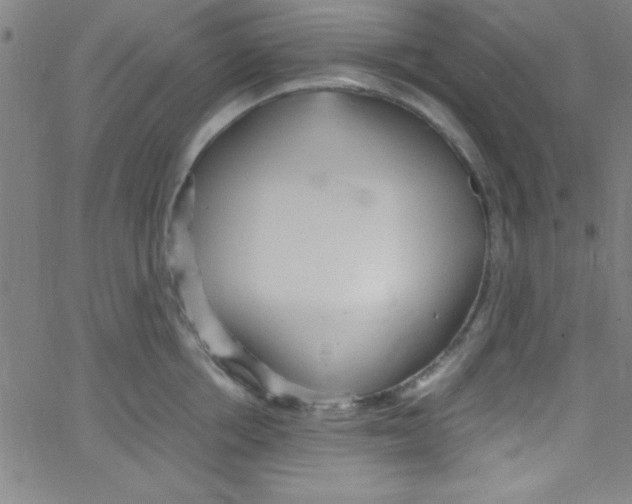 X0000067400858200604281906