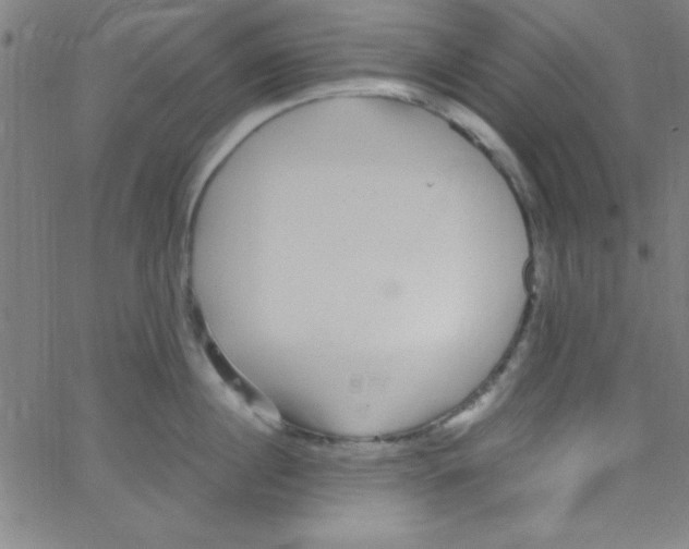 X0000067400860200604281906