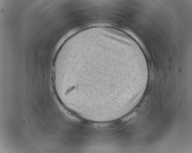 X0000067400861200604281906