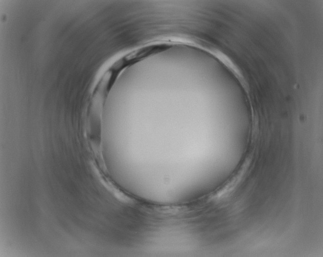 X0000067400862200604281906