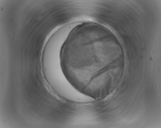 X0000067400864200604281906