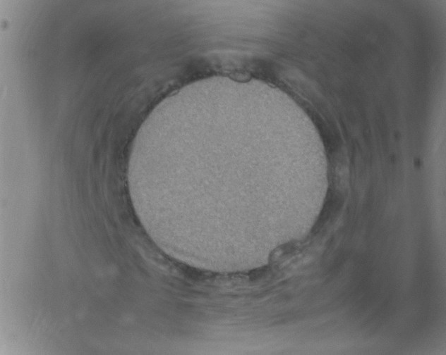 X0000067400865200604281905