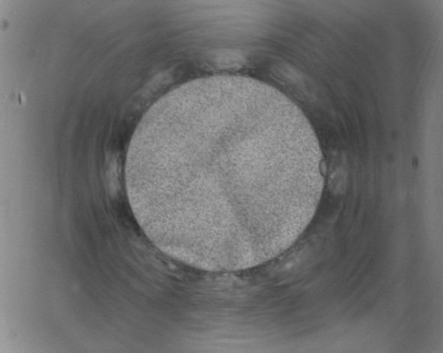 X0000067400866200604281905