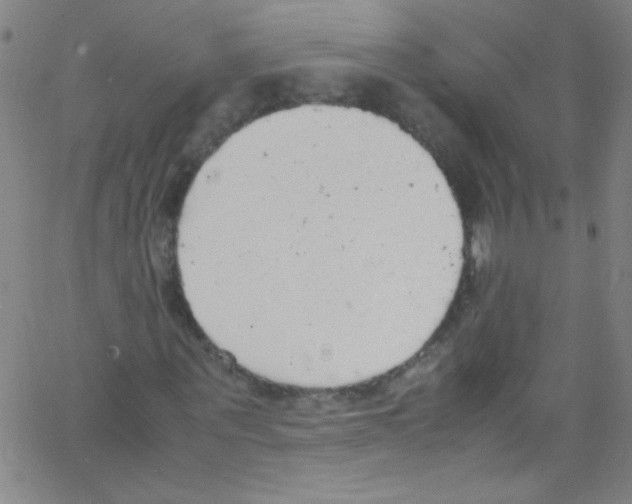 X0000067400867200604281905