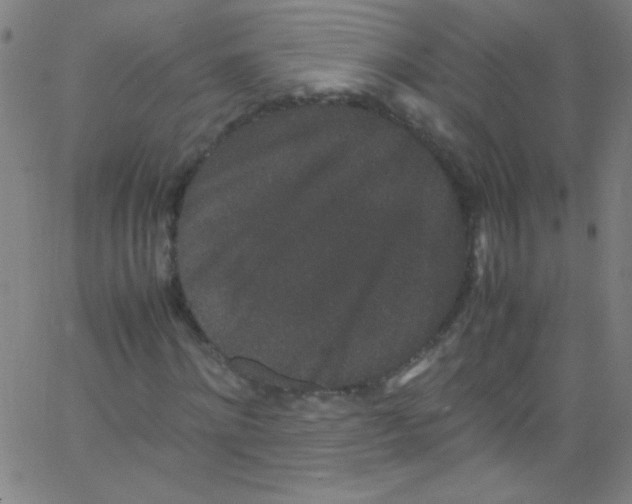 X0000067400868200604281905