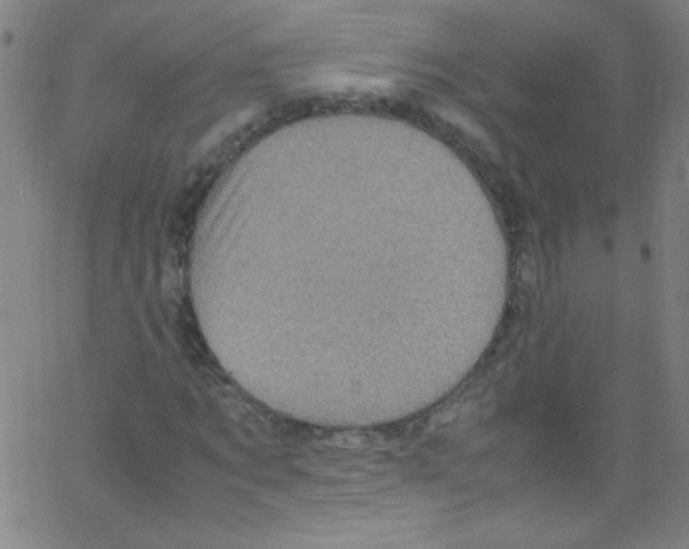 X0000067400869200604281905