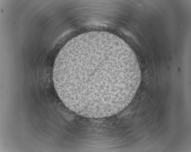 X0000067400870200604281905