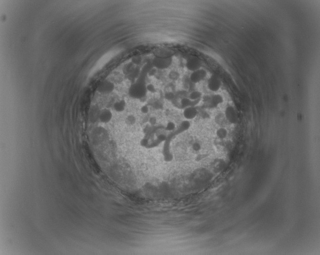 X0000067400871200604281905