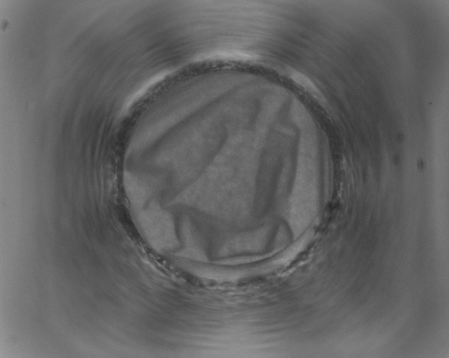 X0000067400872200604281905