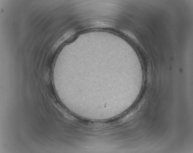 X0000067400873200604281905