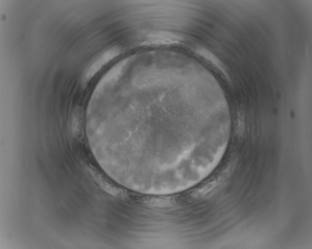 X0000067400874200604281905