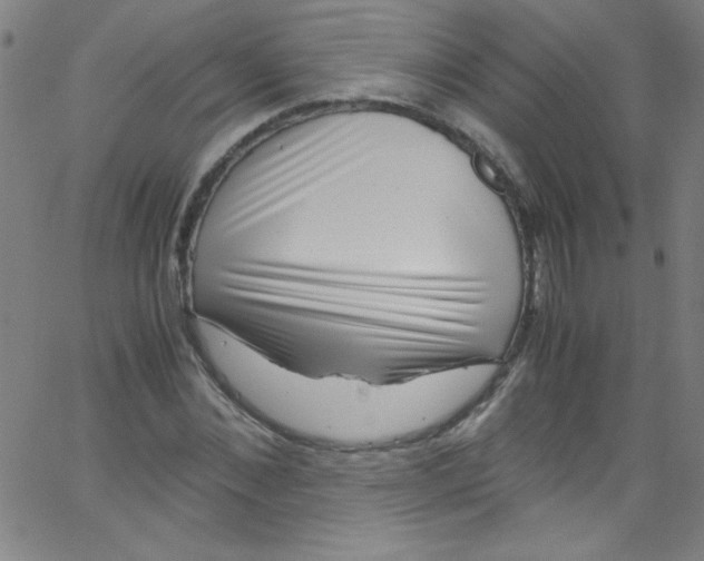 X0000067400876200604281905