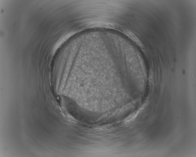 X0000067400877200604281905