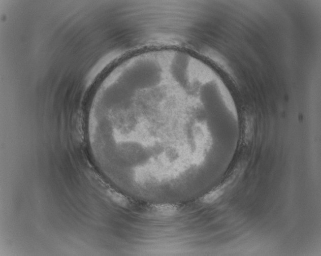 X0000067400878200604281905