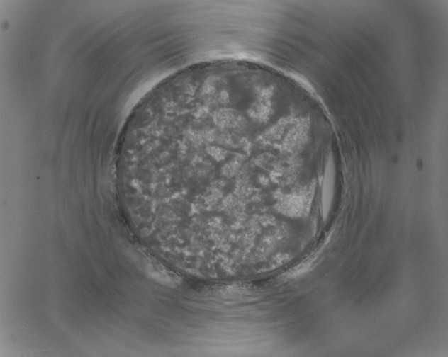 X0000067400879200604281905