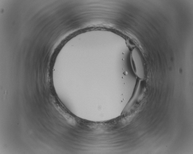 X0000067400880200604281905