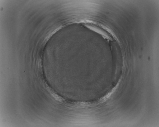 X0000067400881200604281905