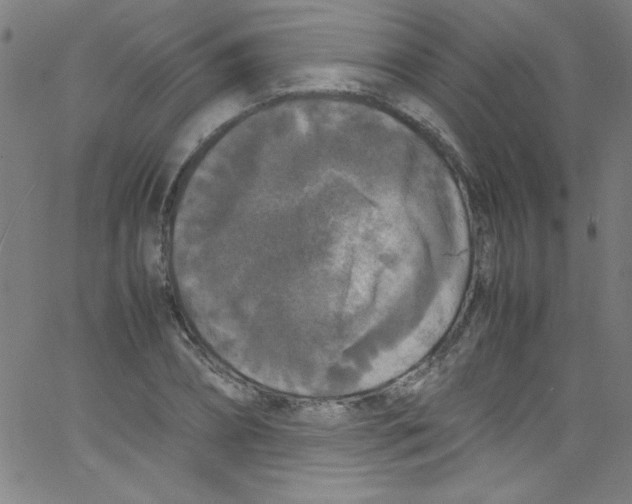 X0000067400882200604281905