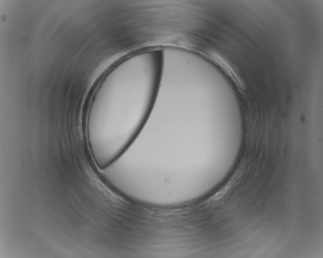 X0000067400884200604281905